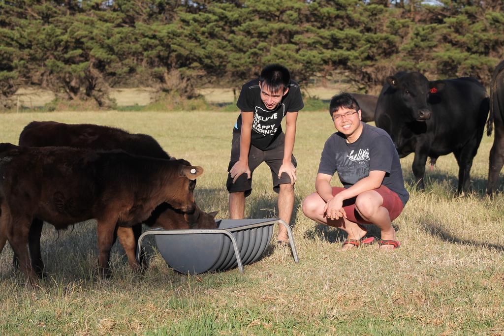 Bimbadeen Phillip Island Farm Retreats Ventnor Exterior photo